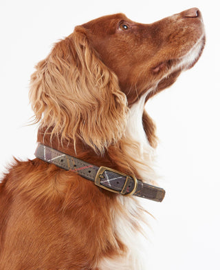 Barbour Tartan Dog Collar