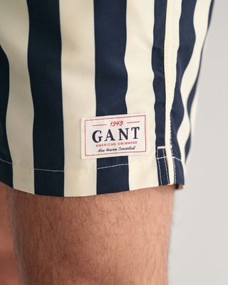 Gant Block Striped Swim Shorts