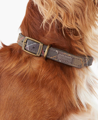 Barbour Tartan Dog Collar